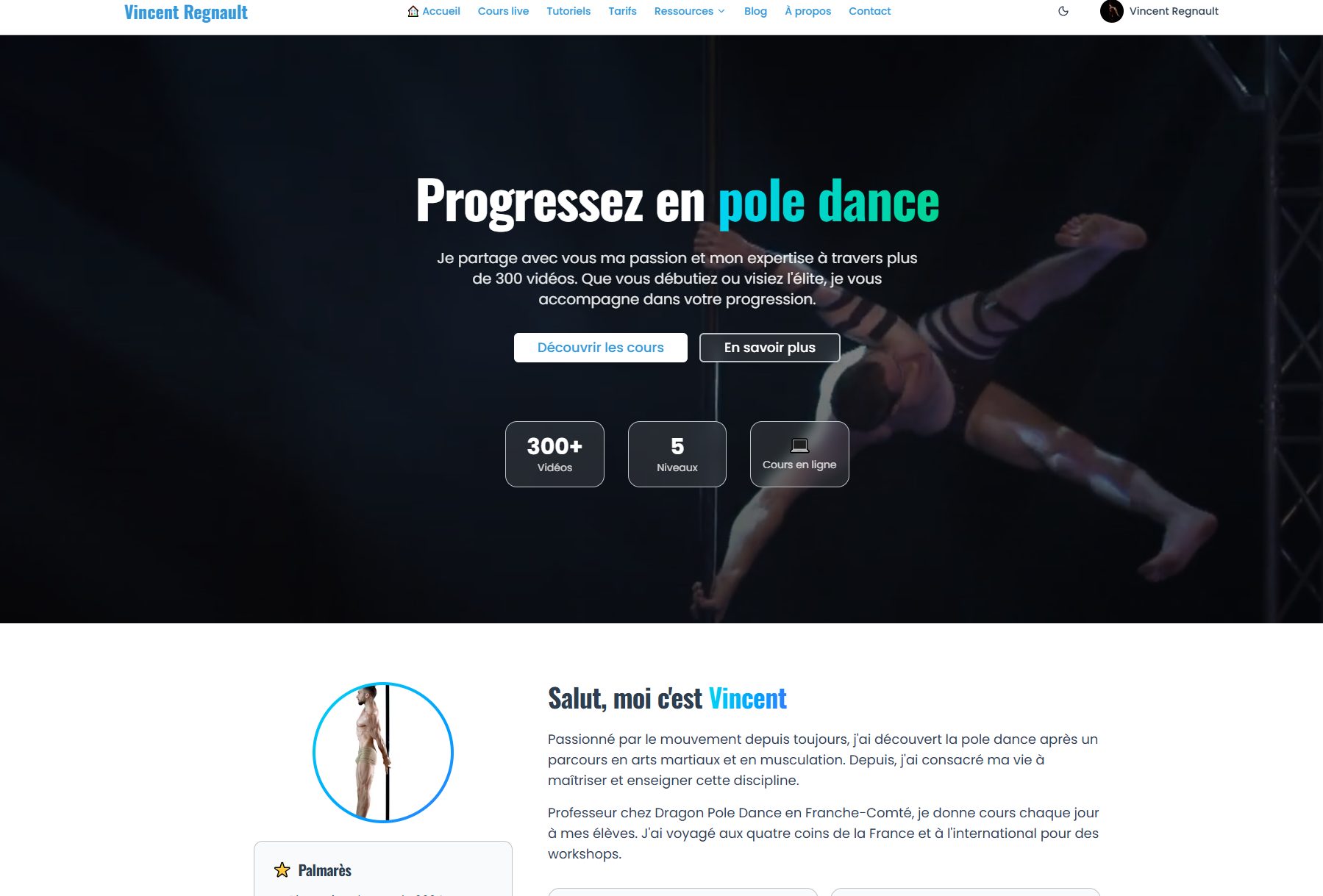 Aperçu du site Vincent Regnault